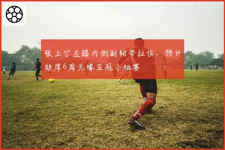 张玉宁左膝内侧副韧带拉伤，预计缺席6周无缘亚冠小组赛