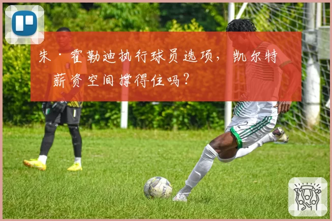 朱·霍勒迪执行球员选项，凯尔特人薪资空间撑得住吗？